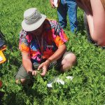 Crop Diagnostic School in 2022.