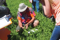Crop Diagnostic School in 2022.