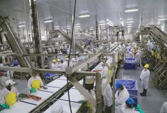 The interior of the HyLife Foods pork processing plant in Neepawa, Man.