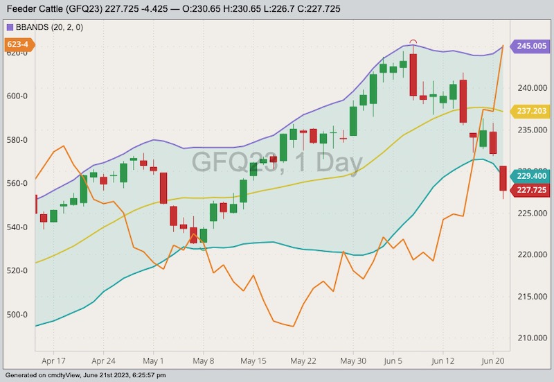 CME August 2023 feeder cattle with Bollinger bands (20,2; right scale) and CBOT September 2023 corn (orange line, left scale). (Barchart)
