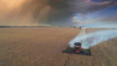 “It doesn’t yet seem like there’s an abundance of used equipment in the market at this point, whereas before the pandemic, there would have been a good amount of used out there.” – Landis Stankievech, Trochu Motors.