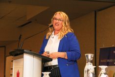 Myrna Grahn is the new executive director of ProteinMB, an industry-led group tasked with carrying out the province’s protein strategy.