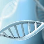 Genes are not Lego blocks. An individual gene can control multiple aspects of an organism’s development and its response to different environmental conditions. Gene editing is therefore likely to change more than just one trait.
