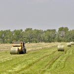 First cut gets underway as some forage producers express concern over yet another season of dry conditions.