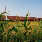 File photo of a BNSF grain train in Montana. (Photo courtesy BNSF Railway)
