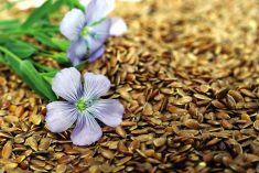 A health economist did a cost of illness study examining savings across Canada if people with hypertension adopted a flax-based treatment.