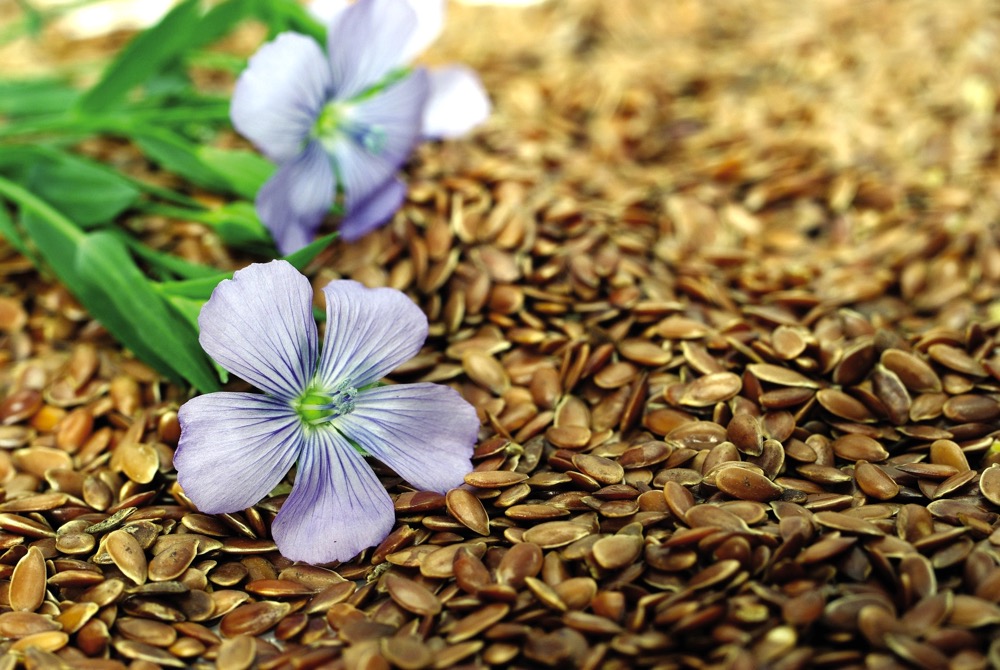 A health economist did a cost of illness study examining savings across Canada if people with hypertension adopted a flax-based treatment.