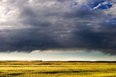 Mother Nature can have a toddler’s temperament