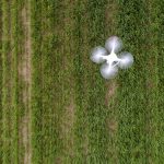 Learning more about plants’ circadian clocks could significantly increase yield and control the timing of plant flowering to adapt to climate change.