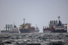 Vessels are seen as they await inspection under the Black Sea Grain Initiative, brokered by the UN and Turkey, in the southern anchorage of the Bosphorus at Istanbul on Dec. 11, 2022. (File photo: Reuters/Yoruk Isik)

