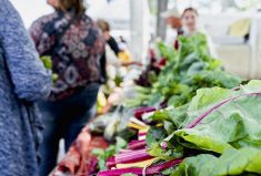 The food currency program is entering its fourth year.