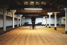The malting floor at Anglia Maltings’ Crisp Malt facility in the U.K. (Photo: CNW Group/Richardson International Ltd.)