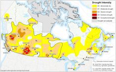 Canadian Drought Monitor map as of June 30, 2023. (AAFC)
