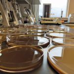 Solvent casting. PHOTOs: UNIVERSITY OF MANITOBA