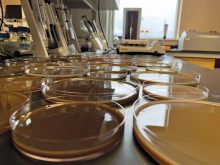 Solvent casting. PHOTOs: UNIVERSITY OF MANITOBA