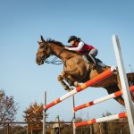 Activities like jumping require horses to have an enhanced ability to know how to move in relation to their surroundings.