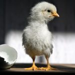 Photo: fzant/istock/getty images