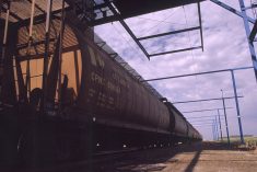 (Photo courtesy Canola Council of Canada)
