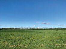 The Gosselin site in July 2023.