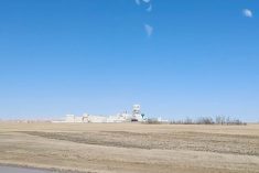 (WeatherFarm video screengrab)
