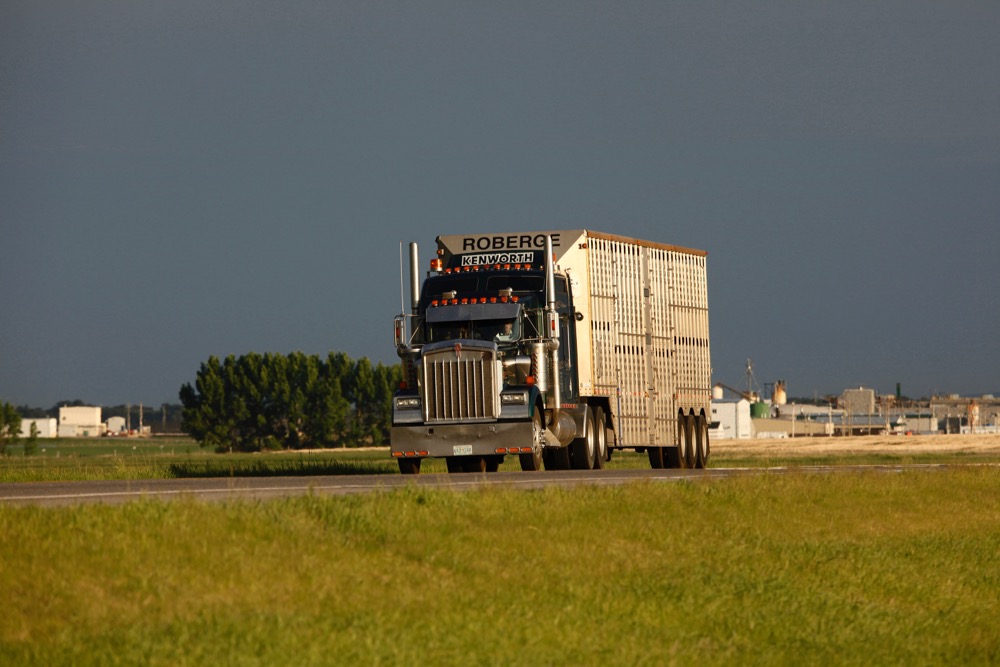 (Photo courtesy Canada Beef Inc.)
