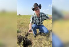 Steve Kenyon. Photo: Laura Rance
