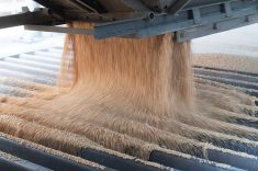 “Not only was this decision ill-considered and finalized hastily, but it was also done without proper consultation ...” – Brett Halstead, SaskWheat.