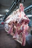 Red meat sector urges Ottawa to reject U.K. CPTPP membership