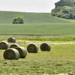 First cut of hay wraps up in Manitoba.