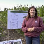 How corn responds to dry conditions