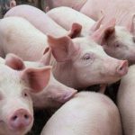 (Deyana Robova photo/iStock/Getty Images)
