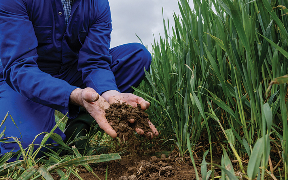 “Pulling together, doing all the right things ... is just fantastically important.” – Jim Tokarchuk, Soil Conservation Council of Canada.