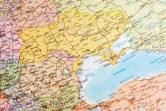 (Omersukrugoksu/iStock/Getty Images)
