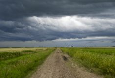 ‘There are reams of data in the report, particularly in three key focus areas: seeds, meatpacking, and food retail. We — the “us” outside of the USDA — need to draw our own conclusions.’