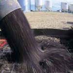 ICE canola weekly outlook: Prices trending down ahead of harvest