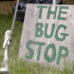 VIDEO: What’s ‘bugging’ Manitoba growers this year?