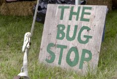 VIDEO: What&#8217;s &#8216;bugging&#8217; Manitoba growers this year?