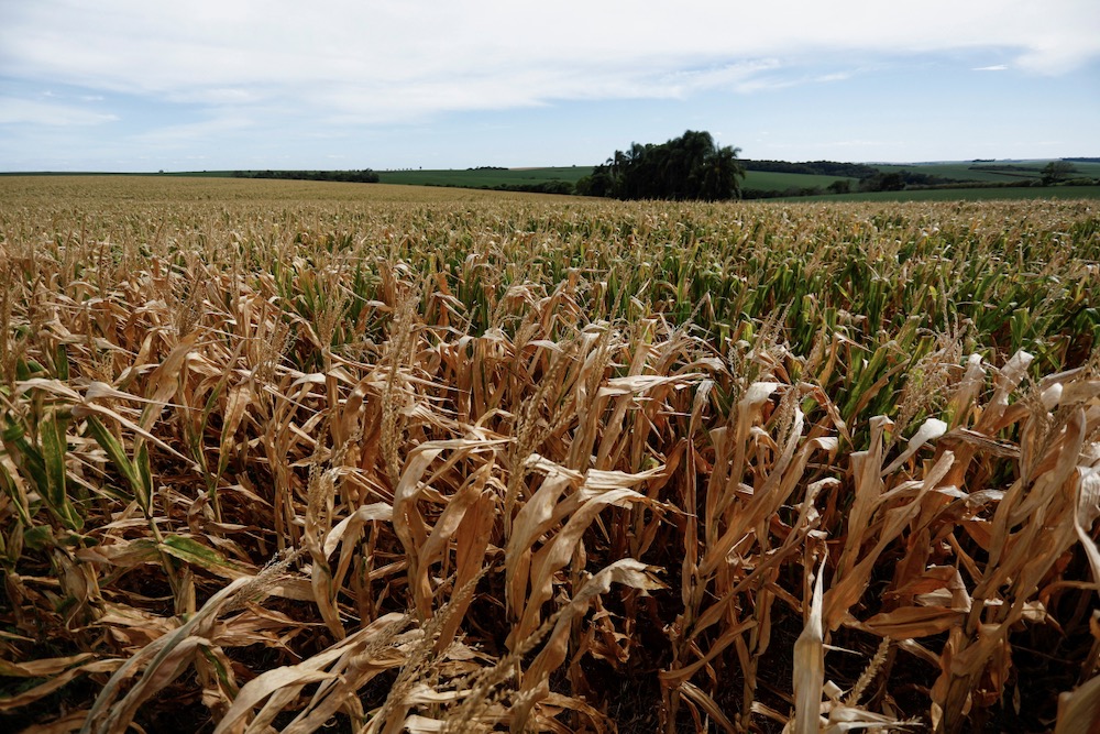 (Photo: Reuters/Diego Vara)