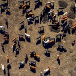 Aerial view of a cattle feedlot in Texas.