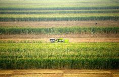 A corn farmer in China in 2015: ‘…it has been proven that when we try to conquer the land and severely disrupt watersheds, challenging the biodiversity that makes critical events like pollination possible, the opposite of food availability occurs.’