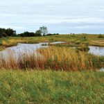 Wetland restoration is among the projects eligible for funds.