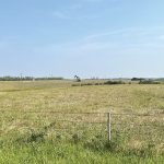 Dry pastures near Virden near the end of July.