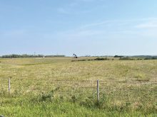 Dry pastures near Virden near the end of July.