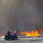 A canola field is burned in the  RM of Lorne in spring 2020, after a wet fall left an unprecedented number of fields unharvested over the winter.
