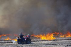A canola field is burned in the 
RM of Lorne in spring 2020, after a wet fall left an unprecedented number of fields unharvested over the winter.
