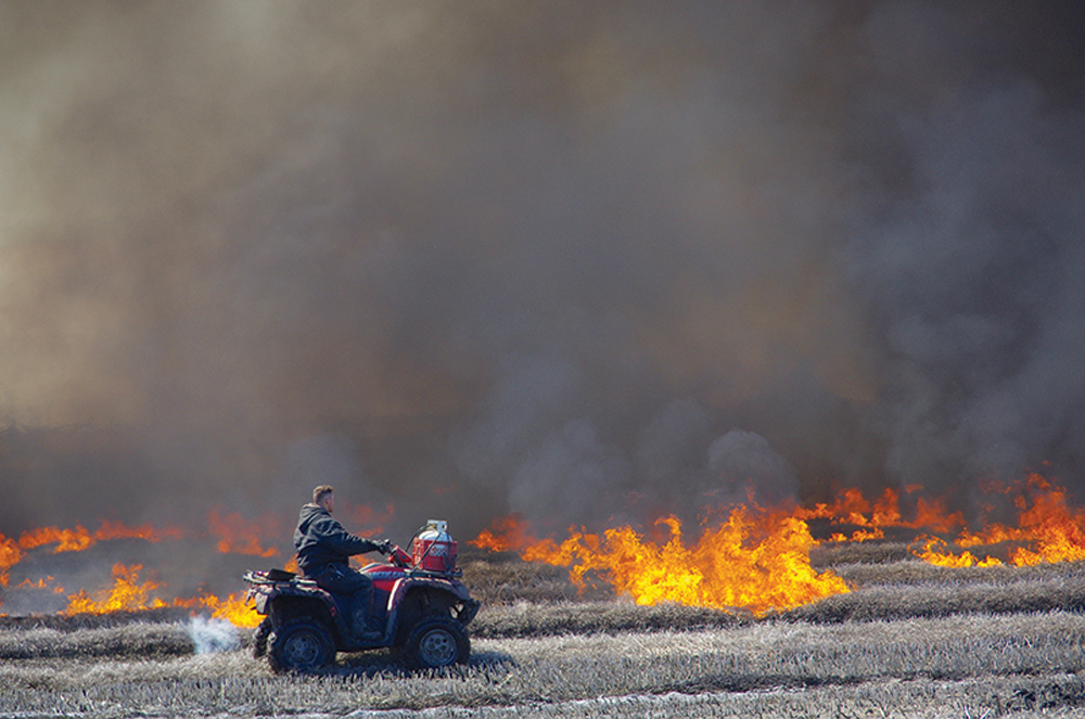 A canola field is burned in the  RM of Lorne in spring 2020, after a wet fall left an unprecedented number of fields unharvested over the winter.