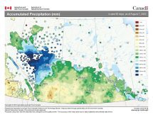 This map shows the total precipitation that has fallen across the Prairies over the 90-day period ending Aug. 7. North-central Alberta is the region that has seen the most precipitation this summer. In stark contrast, southern Alberta has seen the least.