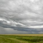 Much like a summer storm hitting one field and leaving another dry only a few miles down the road, markets could go either way right now.