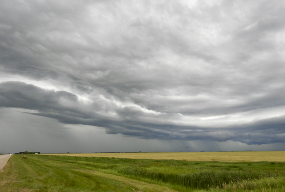 Much like a summer storm hitting one field and leaving another dry only a few miles down the road, markets could go either way right now.