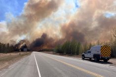Smoke rises from a wildfire near Wildwood, Alta., about 100 km west of Edmonton, on May 5, 2023. (Photo: Alberta Wildfire/Handout via Reuters)